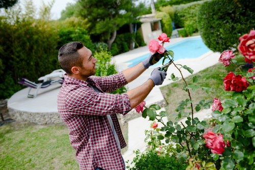 Team trimming hedges in Chelsea before starting work
