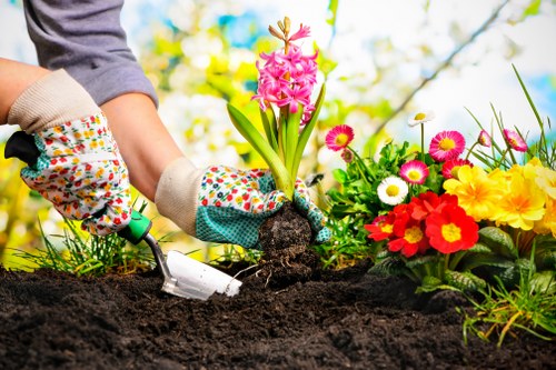 Eco-friendly garden clearance practices in action