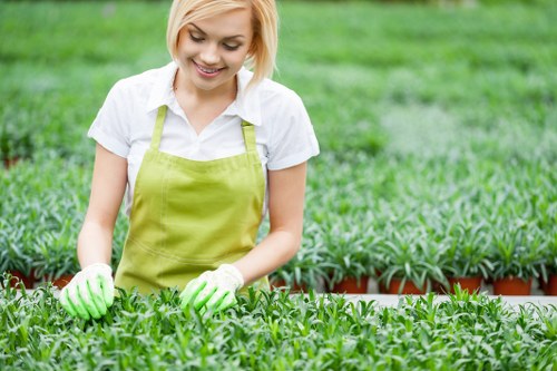 Eco-friendly pest control methods in Chelsea garden
