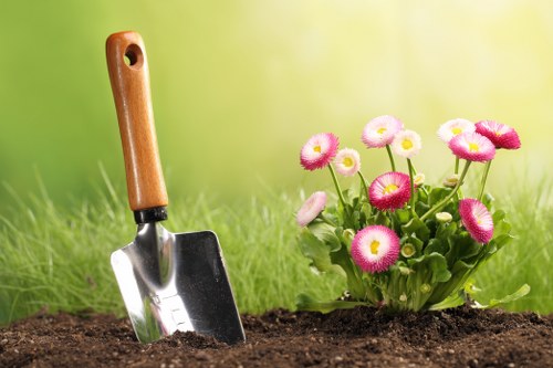 Expert hedge trimming tools and equipment