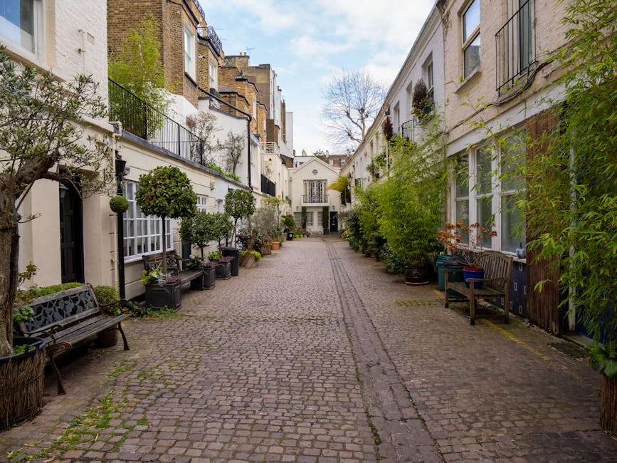 A narrow cobblestone courtyard in Chelsea, lined with white terraced buildings on both sides. The left side features potted topiary trees, small flowering plants, and outdoor benches, while the right 